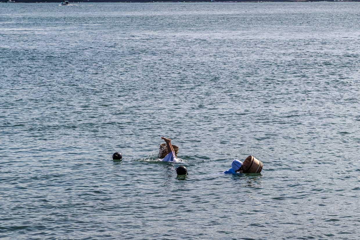 Frau taucht nach Muscheln im Meer vor Toba, Japan