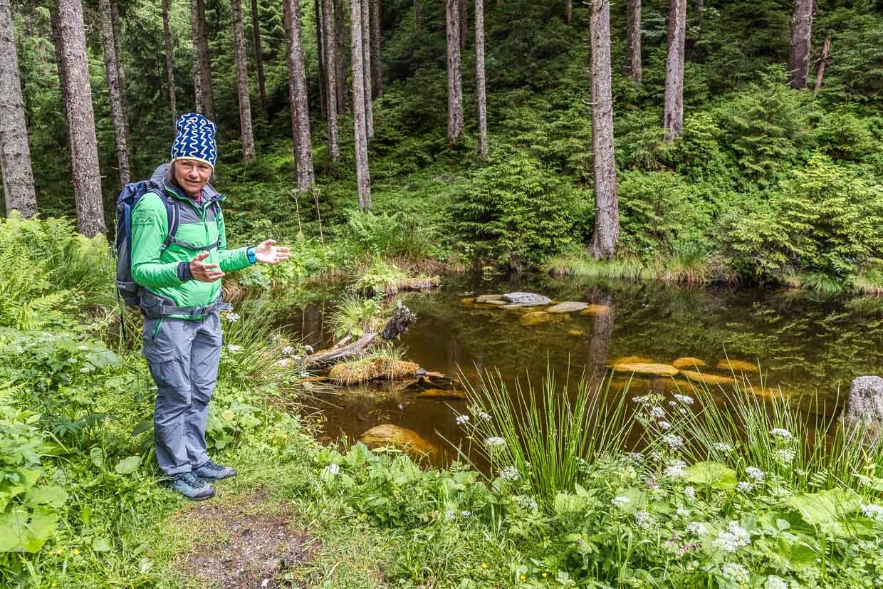 Eine Wanderin gestikuliert am Waldteich am Wasserfallrundweg Untersulzbach, Rosental, Austria