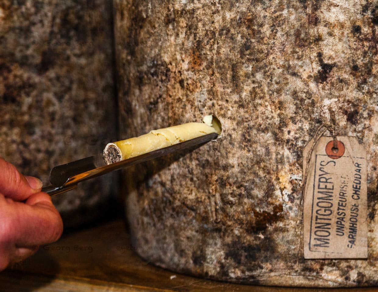 Probebohrung in einen Montgomery Cheddar / © Foto: Georg Berg