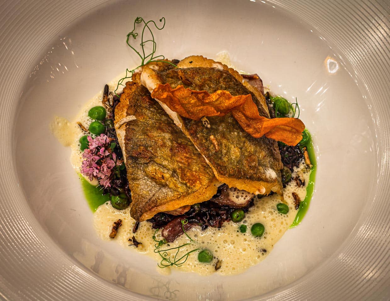Extrem knuspriger St. Petersfisch, auf englisch John Dory genannt, an Risotto aus schwarzem Reis mit Artischockenböden, Erbsen und Weißwein-Sauce / © Foto: Georg Berg