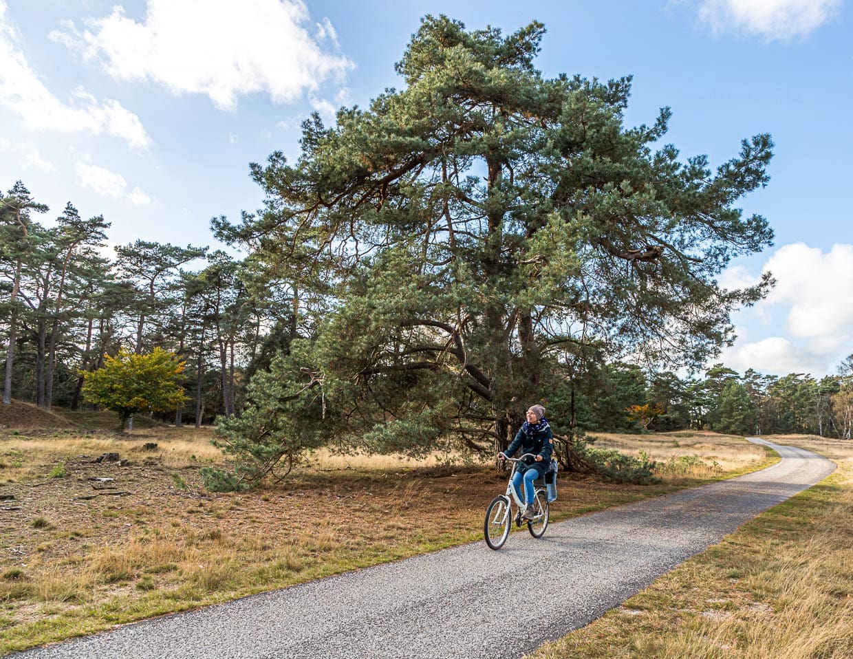 Mit dem Fahrrad den Nationalpark Hoge Veluwe zu erkunden ist das ganze Jahr über möglich / © Foto: Georg Berg