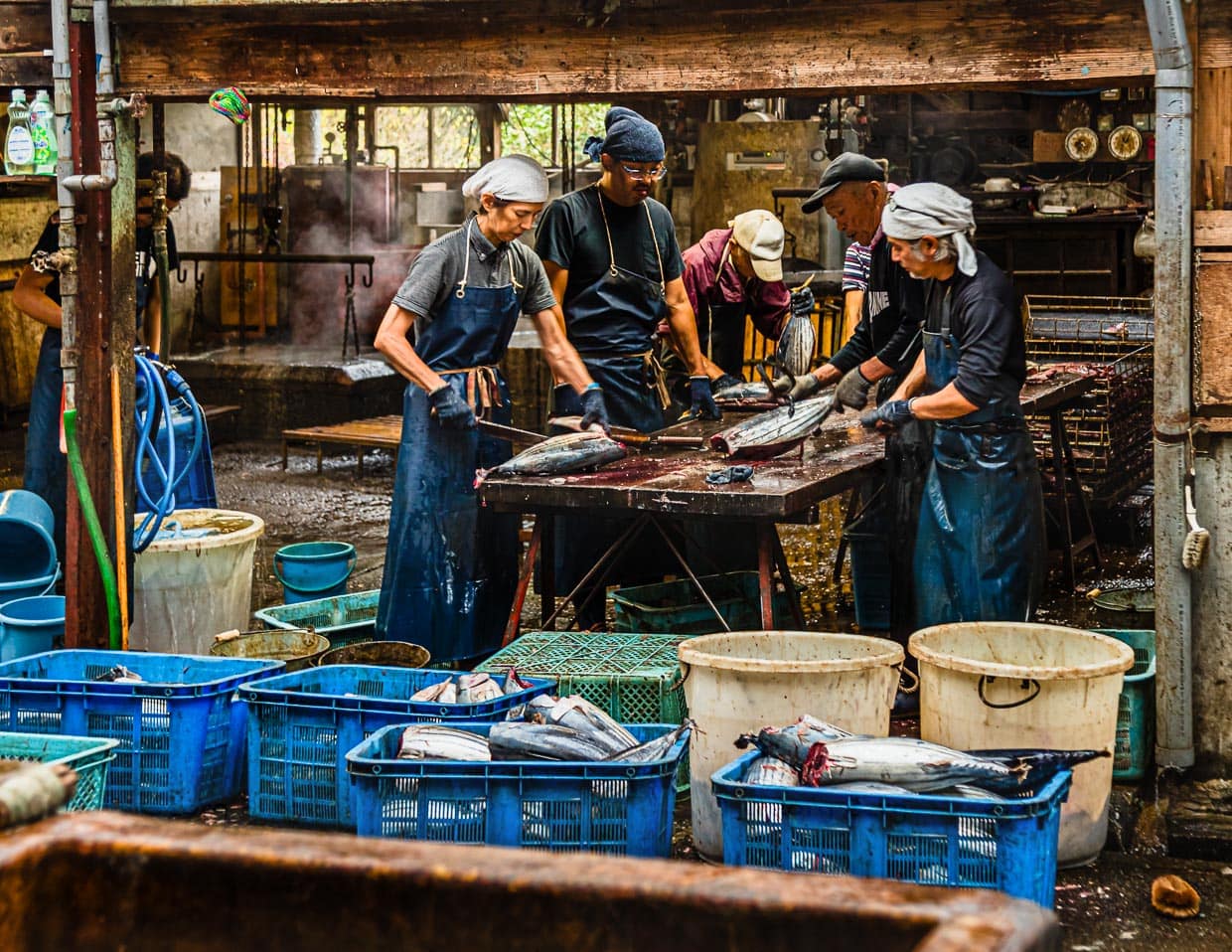 Auf der Zerlegebank werden die Fische halbiert und die Innereien entnommen. Die Hälften bestehen aus je zwei Filets mit den Namen Obushi und Mebushi / © Foto: Georg Berg