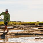 Bretagne Guerande: Salzbauer bei seiner täglichen Arbeit / © Foto: Georg Berg