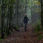 Wanderweg in den Vogesen / © Foto: Georg Berg