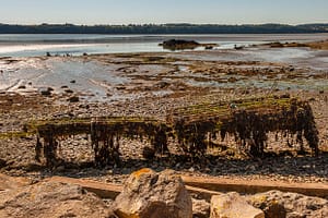 Ein Austerngestell in der Bucht von Pléboulle, Bretagne, Tischkultivierung auf Eisentischen / © Foto: Georg Berg