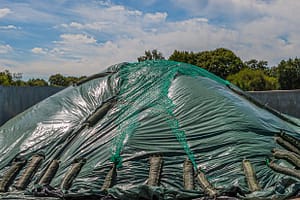 Mehr als drei Meter hoch türmen sich vor der Lagerhalle viele Tonnen rohes Salz der Guérande / © Foto: Georg Berg