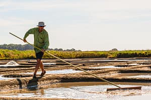 Bretagne Guerande: Salzbauer bei seiner täglichen Arbeit / © Foto: Georg Berg
