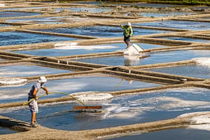 Bretagne Guerande: Die Salzbauern bei Ihrer täglichen Arbeit / © Foto: Georg Berg