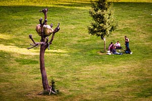 "Idee di Pietra“ von Giuseppe Penone, documenta 2012 in Kassel / © Foto: Georg Berg