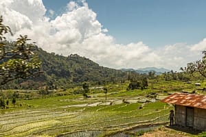 Ein Bauer steht an einer Blechhütte in den Reisfeldern auf der indonesischen Insel Flores / © Foto: Georg Berg