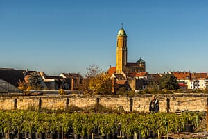 Historische Anbauflächen inmitten der Stadt. Im Hintergrund St. Otto, die 1911 - 1914 von Orlando Kurz erbaute Pfarrkirche des Gärtnerviertels / © Foto: Georg Berg