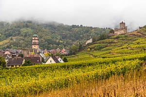 Weinberge und die Burg von Kaysersberg / © Foto: Georg Berg