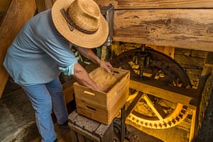 Aus den unterschiedlichen Mahlgraden entstehen unterschiedliche Produkte. Das feine und seidige Farina Bona Mehl wird zum Backen und Aromatisieren von Speisen genutzt / © Foto: Georg Berg