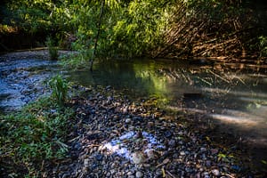 Papierschnitzel aus dem Reiswolf markieren die Spur, auch wenn kein Weg zu erkennen ist. Aber was bedeutet dieses Zeichen? / © Foto: Georg Berg