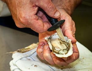 Öffnen einer Auster mit dem Austernmesser / © Foto: Georg Berg