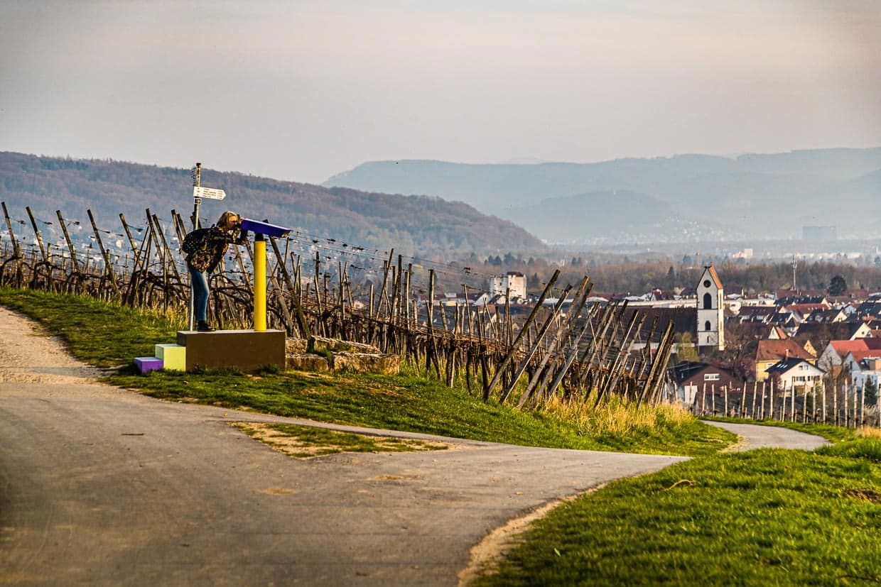 Tobias Rehberger und seine Wegmarke "Fernglas" mit Blick aus dem Weinberg auf Weil am Rhein / © Foto: Georg Berg