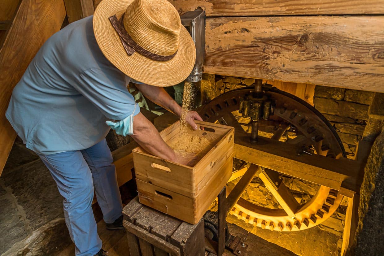 Aus den unterschiedlichen Mahlgraden entstehen unterschiedliche Produkte. Das feine und seidige Farina Bona Mehl wird zum Backen und Aromatisieren von Speisen genutzt / © Foto: Georg Berg