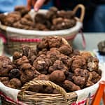 Der Trüffelmarkt in Aups findet von Anfang Dezember bis März immer donnerstags statt. Der Trüffelmarkt von Aups ist der drittgrößte seiner Art in ganz Frankreich. Hier verkaufen die Trüffelhändler direkt an Endkunden. Woanders sind beim Trüffelhandel meist Großhändler zwischengeschaltet / © Foto: Georg Berg