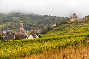 Weinberge und die Burg von Kaysersberg / © Foto: Georg Berg