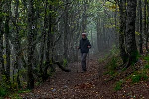 Wanderweg in den Vogesen / © Foto: Georg Berg