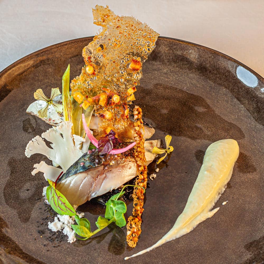 Ein Gemälde aus Frische und Crunch: Makrele und Blumenkohl. Die Makrele wurde in Aceto Balsamico mariniert und kommt mit einer Salatcreme, einem Cracker aus schwarzer Tinte vom Oktopus, rohem Blumenkohl, gedünsteten Frühlingszwiebeln und Buchweizen-Crunch / © Foto: Georg Berg