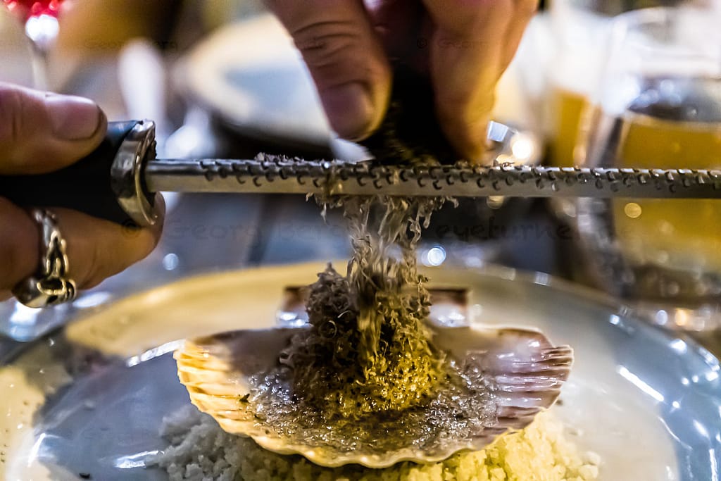 Schwarzer Trüffel mit Jakobsmuschel. Ein Klassiker in der französischen Küche / © Foto: Georg Berg