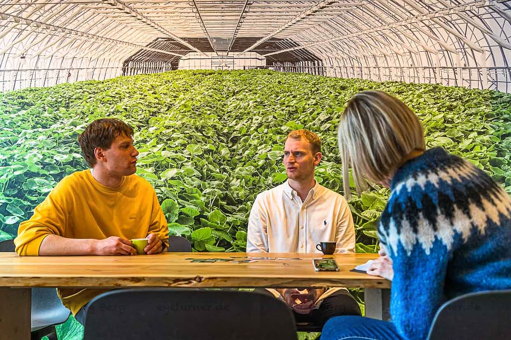 Nordic Wasabi Gründer Ragnar Atli Tomason, links im Bild und Olli Hall zuständig für Marketing und Verkauf vor der Fotowand des ersten Wasabi-Gewächshauses in Island / © Foto: Georg Berg