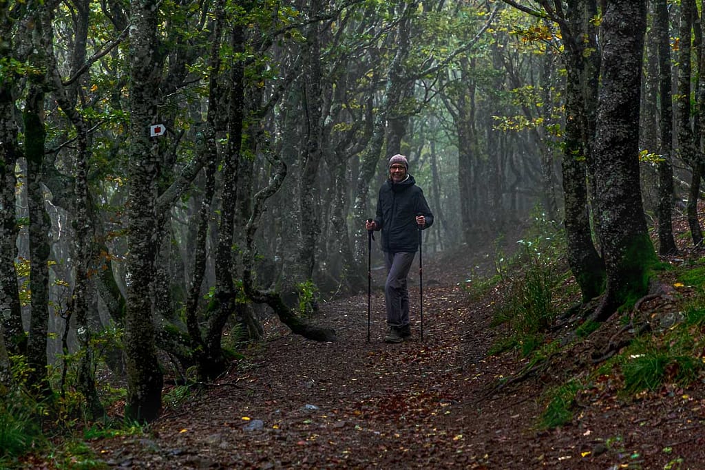 Wanderweg in den Vogesen / © Foto: Georg Berg