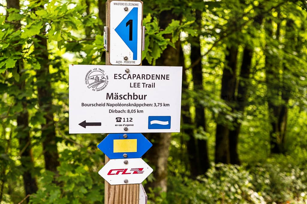 Wandern von Bahnhof zu Bahnhof ist gut ausgeschildert in Luxemburg. Das untere Schild „CFL“ ist ein Hinweis darauf, dass die Route auch über einen Bahnhof führt. Im ganzen Land gibt es diese CFL-Wanderwege mit einer Bahnstation am Anfang und am Ende. So kann man einfach einsteigen und kostenlos zurück zum Ausgangspunkt fahren / © Foto: Georg Berg