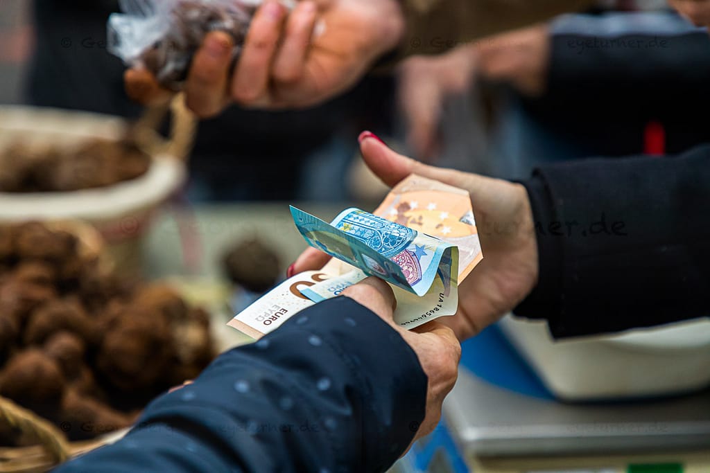 Der Preis für den schwarzen Wintertrüffel liegt zu Beginn der Saison bei ca. 600 Euro pro Kilo und steigt bis Weihnachten an auf ca. 1.000 Euro pro Kilo / © Foto: Georg Berg