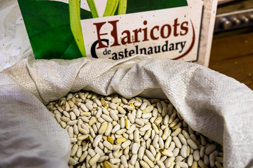 Die weißen Bohnen von Castelnaudary sind Hauptzutat des Cassoulet Eintopfes. Die längliche Lingot Bohne braucht auf den Feldern rund um Castelnaudary 90 Tage von der Aussaat bis zur Ernte / © Foto: Georg Berg