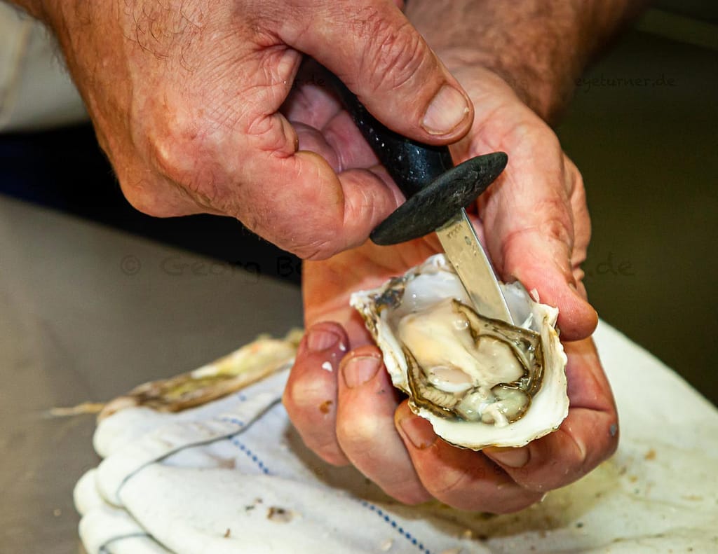 Öffnen einer Auster mit dem Austernmesser / © Foto: Georg Berg