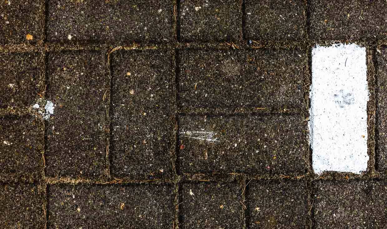 Katzenpfote auf frisch gestrichenem Asphalt / © Foto: Georg Berg