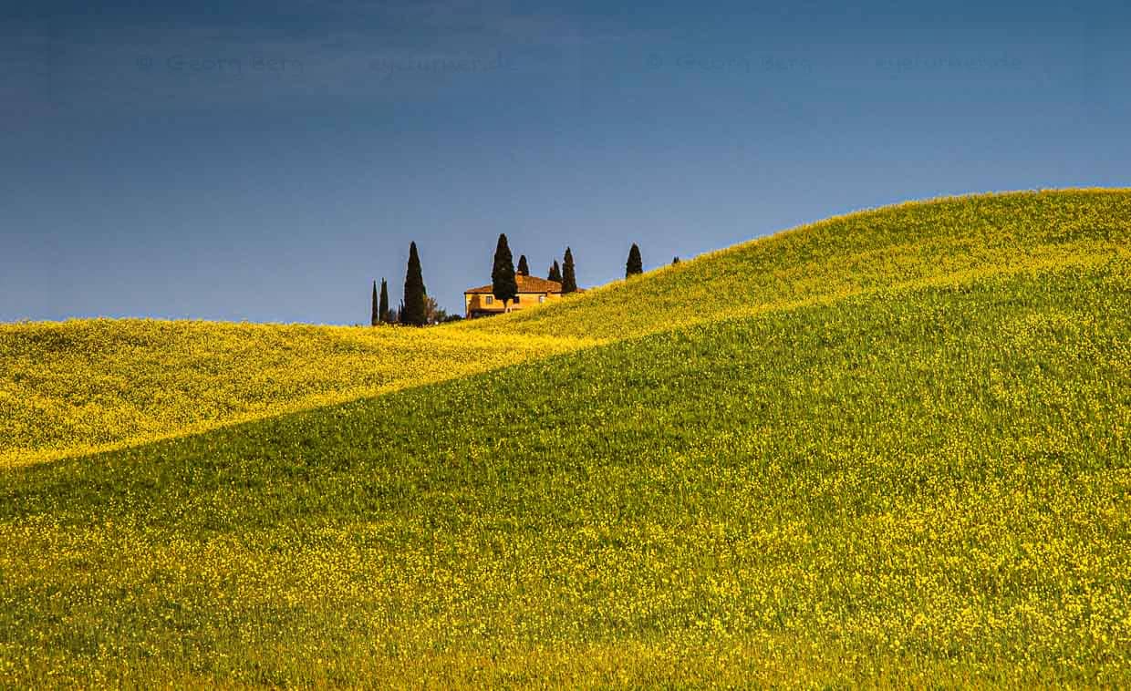 Maison de campagne dans un paysage de Toscane avec un champ de colza en fleurs / © Photo : Georg Berg