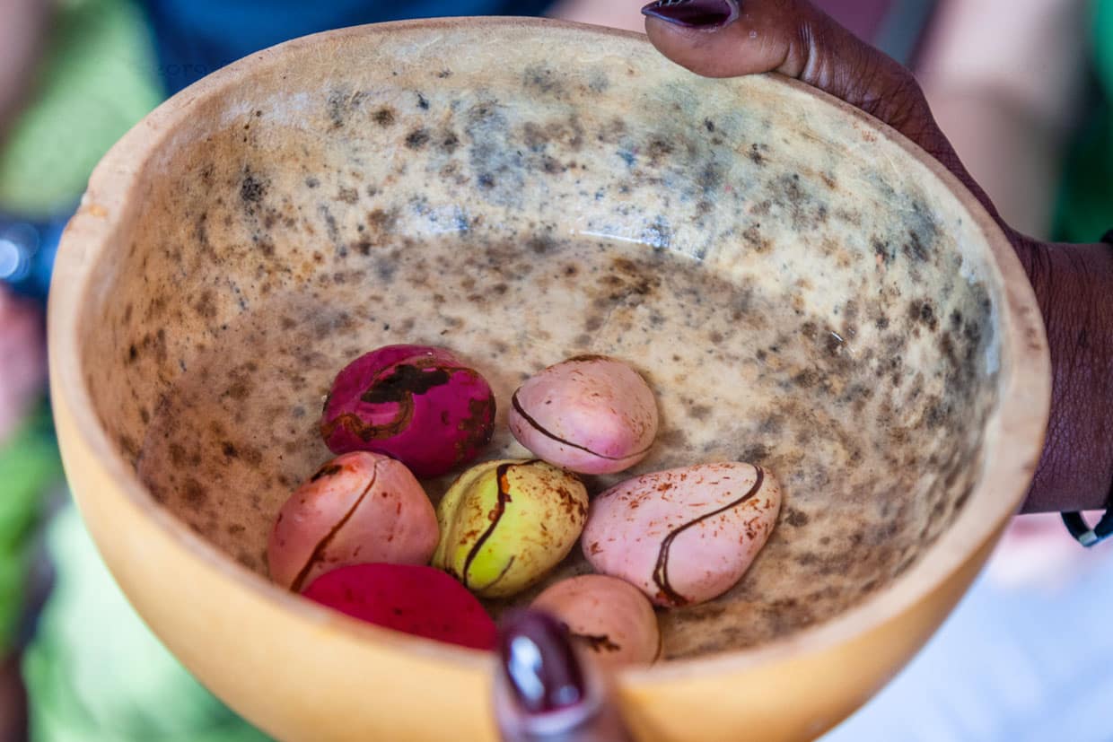 Kolanüsse als Zeichen der Willkommenskultur / © Foto: Georg Berg