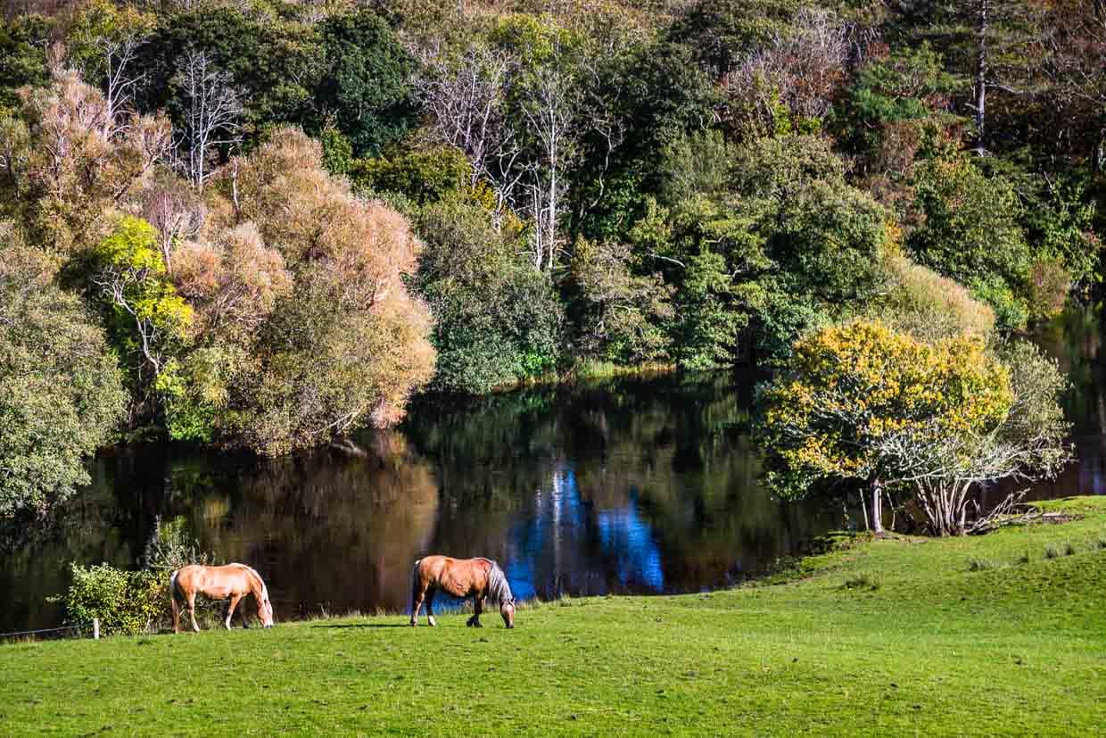 Der Fluss Laune quert das Hotelgelände. Hier lässt sich Kajak fahren und angeln / © Foto: Georg Berg