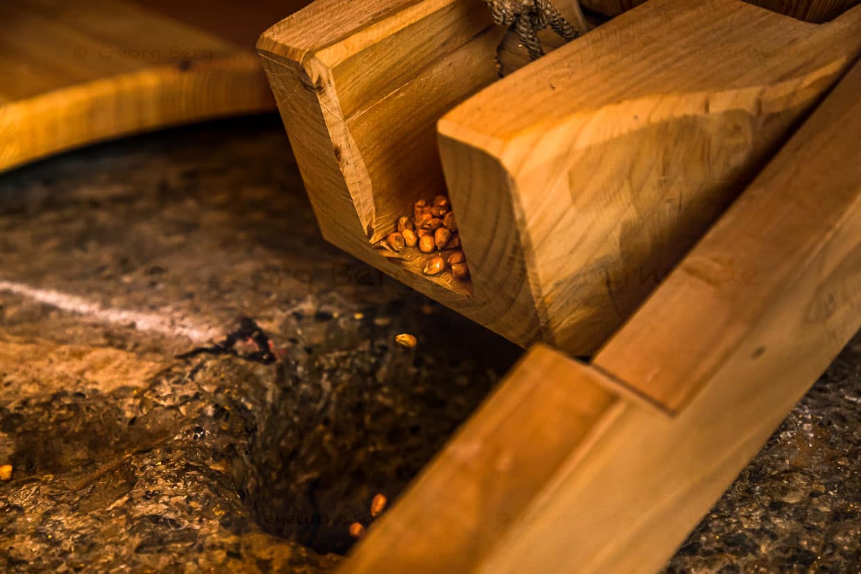 Langsam rieseln die Maiskörner ins Mahlwerk. Die Härte des Maiskorns war für die Müller damals problematisch. Es brauchte viel länger als Roggen, um zu feinem Mehl vermahlen zu werden