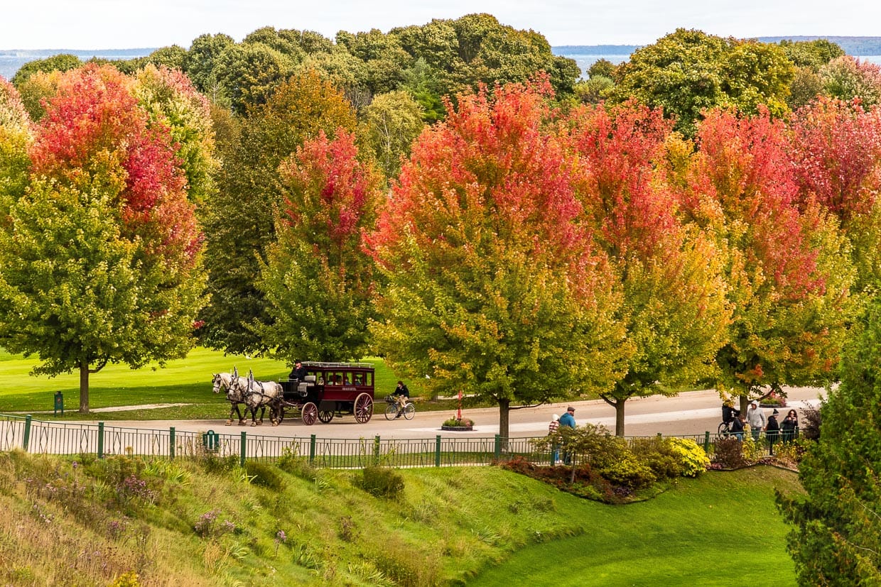 Horse-drawn carriage and trees in bright autumnal colors on Cadotte Avenue. The driveway to the Grand Hotel Mackinac Island / © Photo: Georg Berg