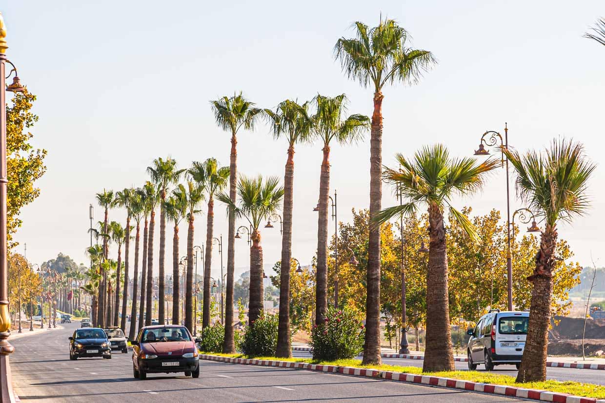 In Marokko tarnen sich einige Mobilfunkmasten gelegentlich als Palmen / © Foto: Georg Berg