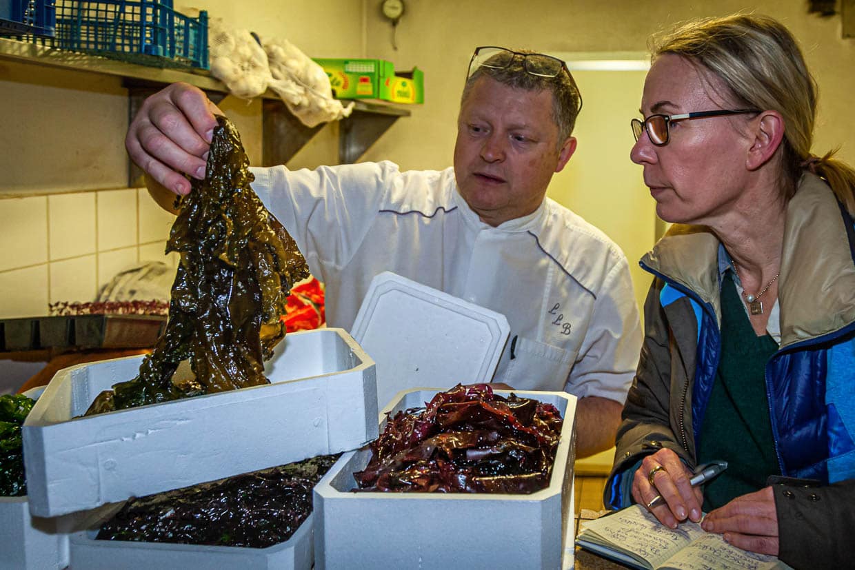 Jede Algensorte hat in der Küche von Sternekoch Loïc Le Bail ihren Spezialeinsatz / © Foto: Georg Berg