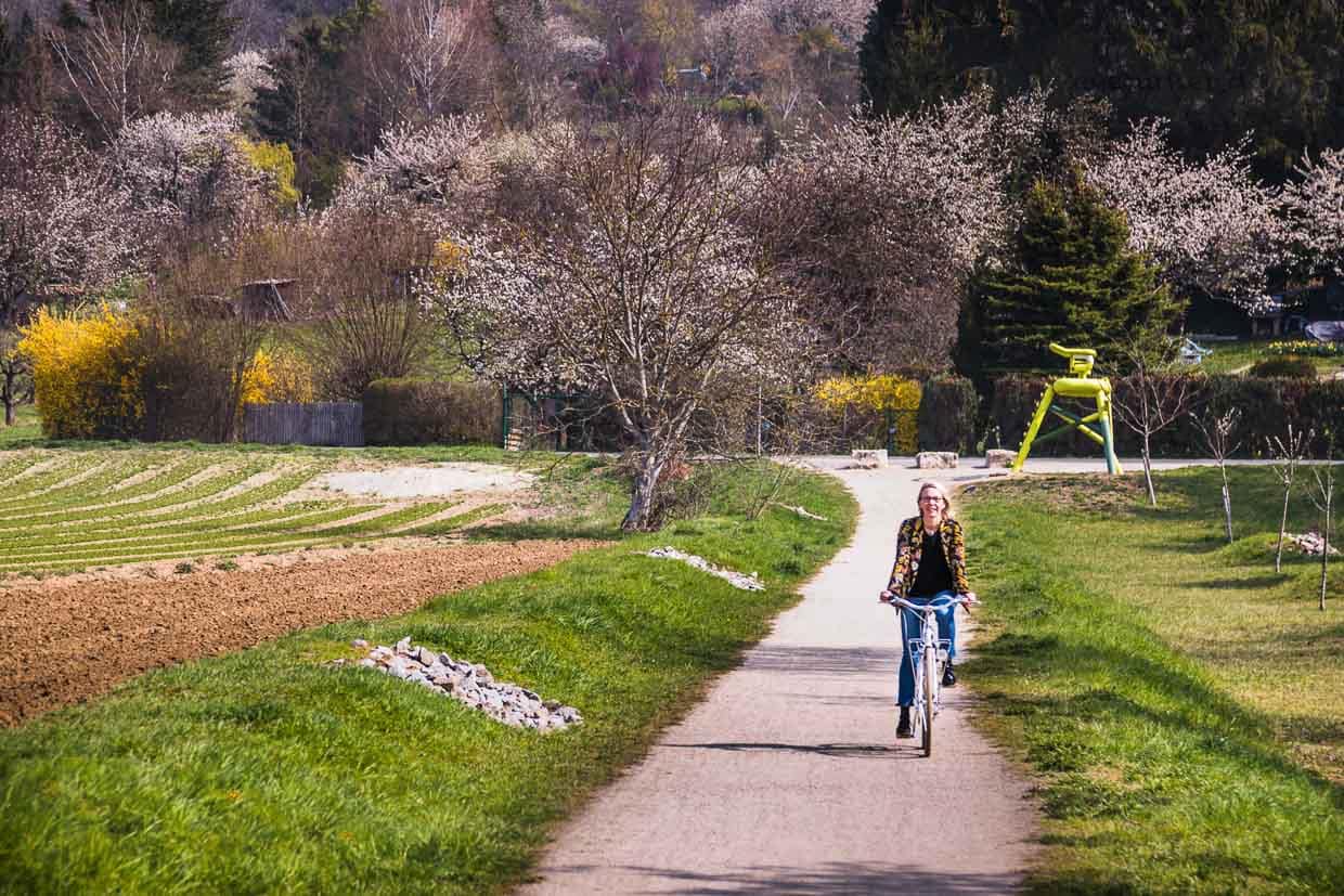 Der Rehberger Weg führt zum großen Teil durch die Weinberge. 24 Wegmarken auf fünf Kilometer. Fahrräder gibt es zum Verleih direkt im Hotel Krone / © Foto: Georg Berg