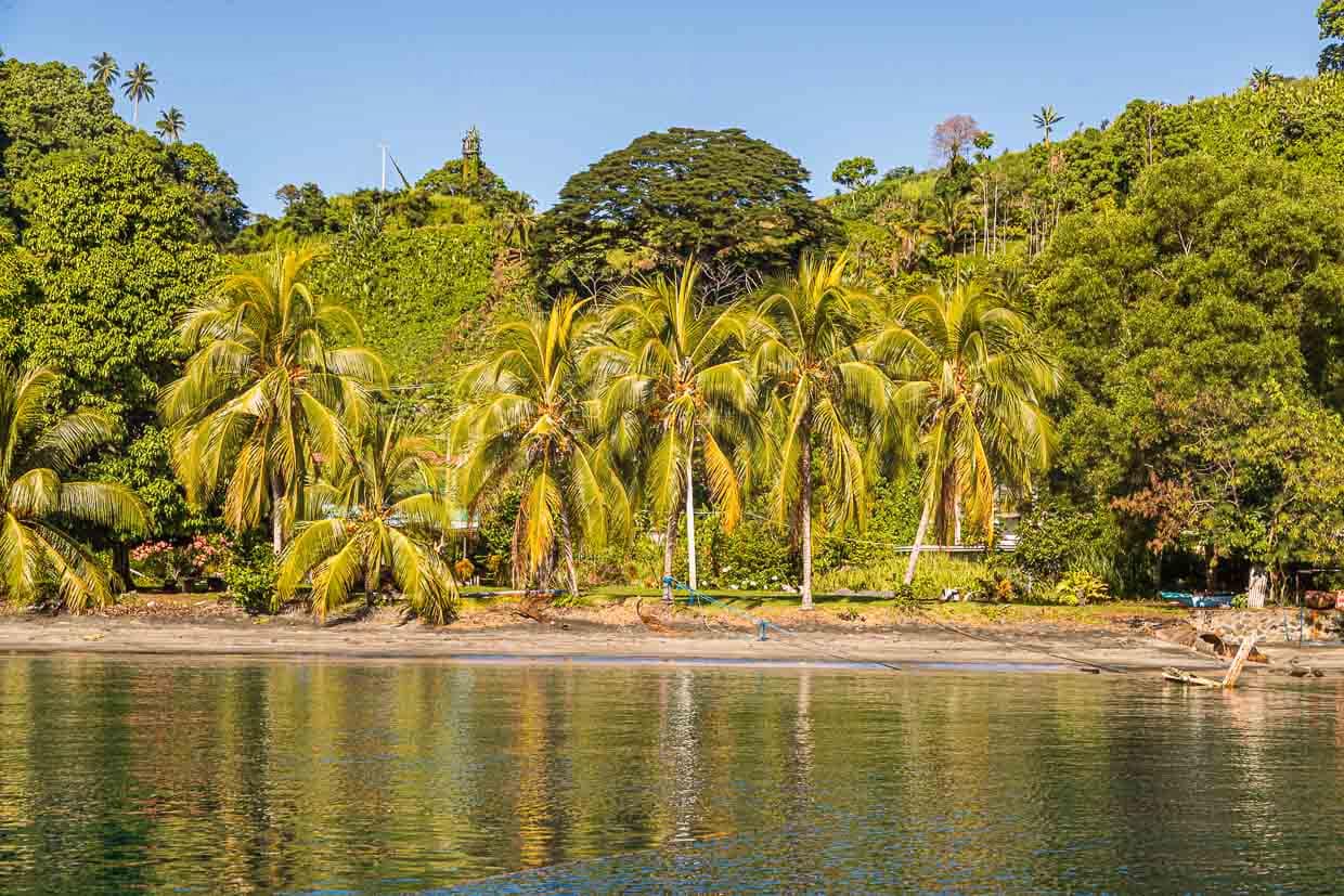 Palmen und Haus-Ruinen sind Zeugnisse der einst prachtvollen Strandpromenade von Kieta. Hier residierten die wohlhabenden Angestellten der im Landesinneren liegenden Panguna Kupfermine / © Foto: Georg Berg