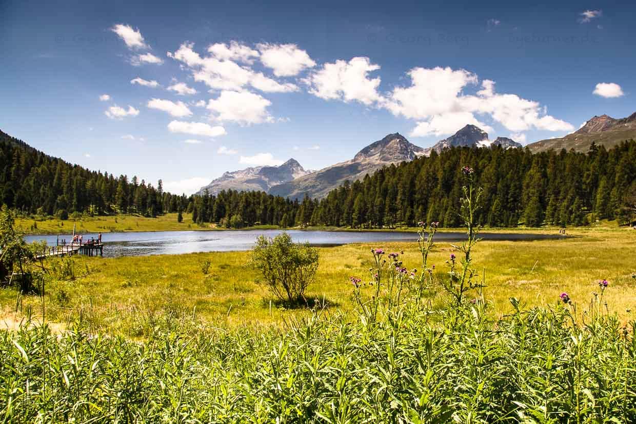 Vom Steg in den Lej da Staz zu springen ist in der sonst so mondänen Gegend um St. Moritz ein echter Geheimtipp / © Foto: Georg Berg