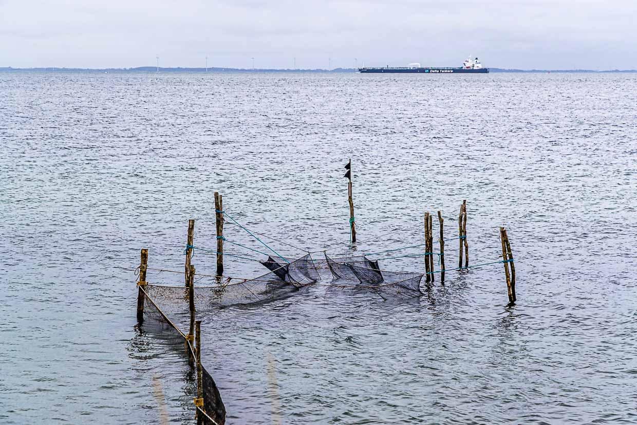 „Schiffe gucken“ geht sehr gut auf diesem Abschnitt der Wanderung von Spodsbjerg Richtung Tranekær / © Foto: Georg Berg