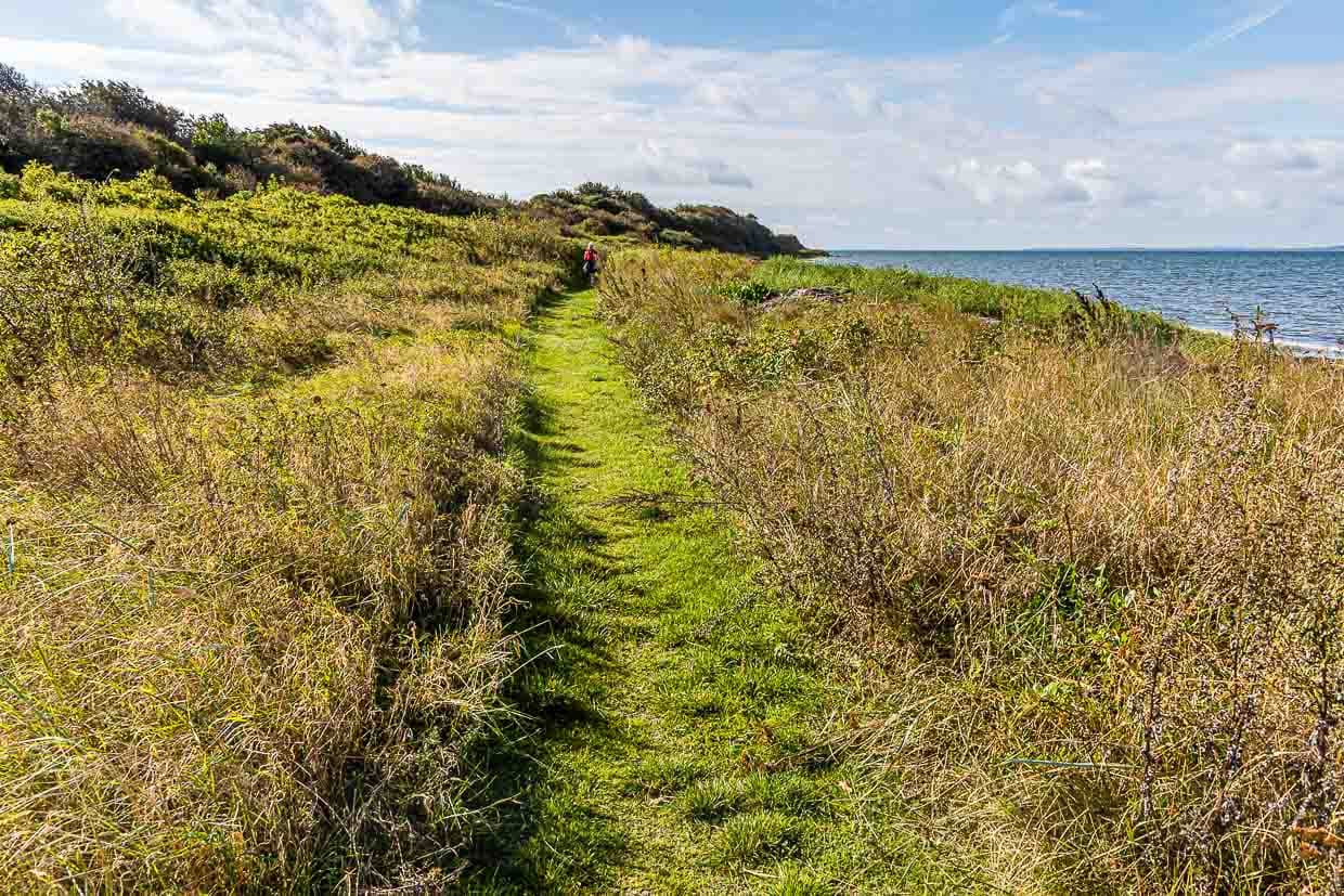 Wanderweg mit Meeresrauschen. Rund 15 Kilometer, der insgesamt 20 Kilometer von Lohals nach Tranekær verlaufen direkt an der Küste / © Foto: Georg Berg