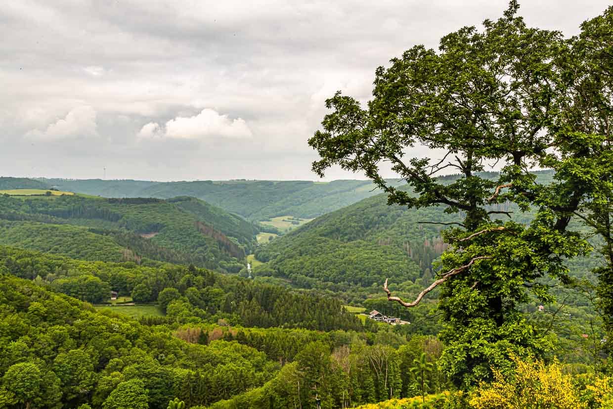 Paysage au bord de la Sûre au Luxembourg / © Photo : Georg Berg