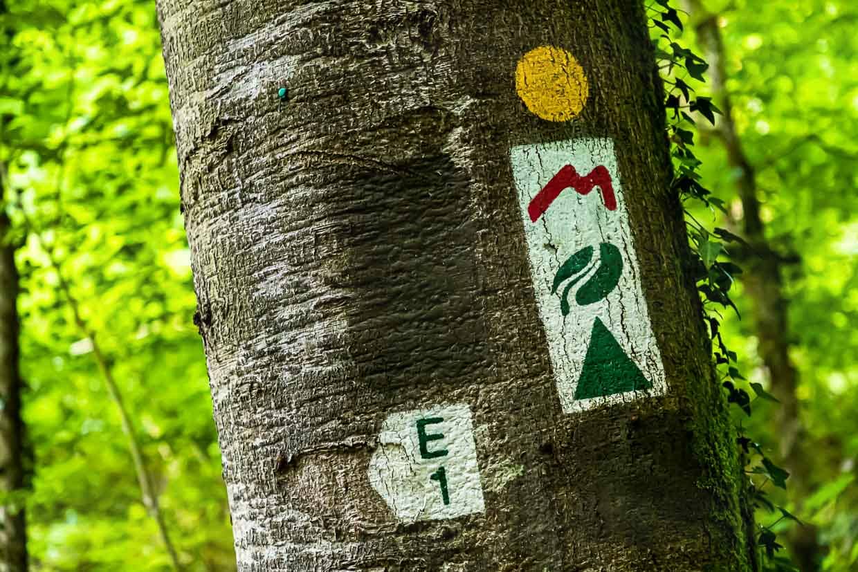 Sentiers de randonnée balisés au Luxembourg / © Photo : Georg Berg