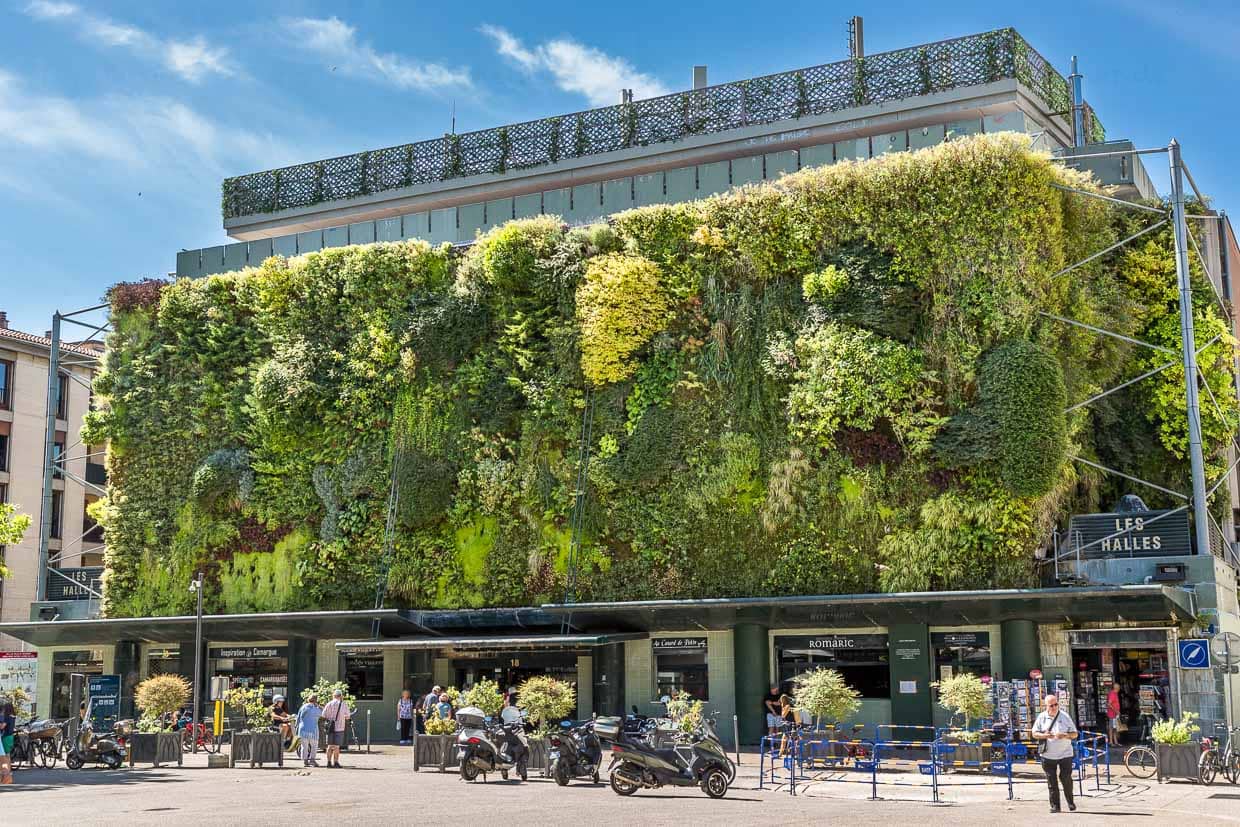 Marché couvert des Halles à Avignon. Le mur végétal de Patrick Blanc est doté d'un système d'irrigation sophistiqué et a déclenché un boom de la végétalisation verticale des villes dans le monde entier. 20 plantes poussent sur un mètre carré / © Photo : Georg Berg