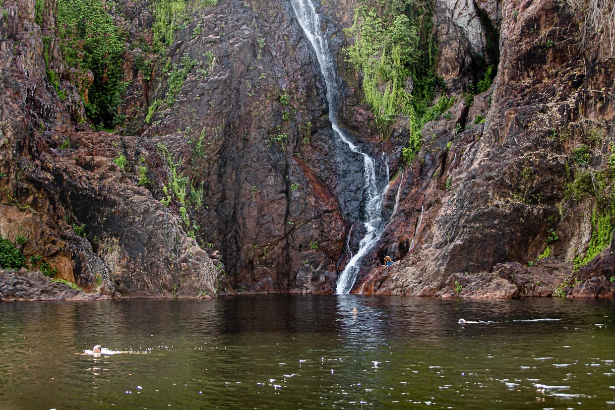 Erfrischung im klaren Wasser am Fuß der Wangi-Fälle im Litchfield Nationalpark / © Foto: Georg Berg