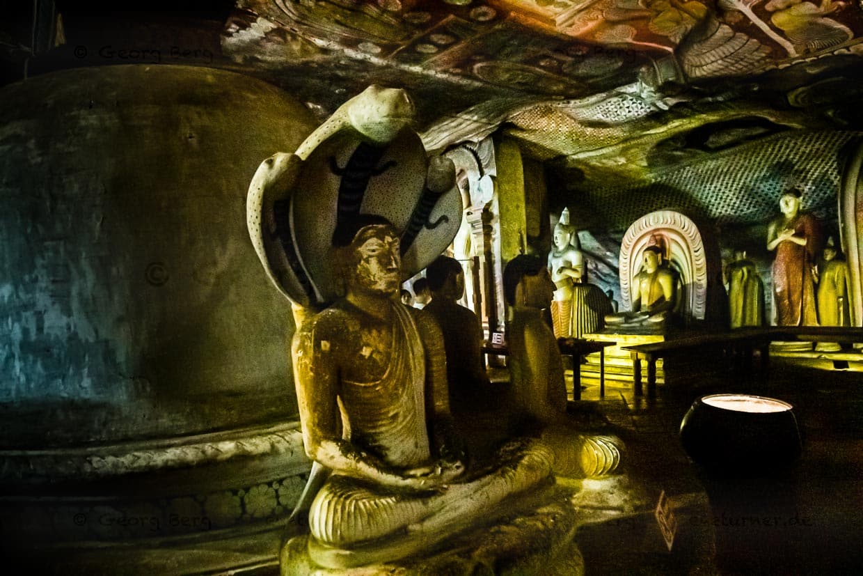Mehr als 48 Buddha-Statuen gibt es in den Höhlentempeln von Dambulla. Naga Statuen stellen Buddha von einer Königskobra bei der Meditation beschützt dar / © Foto: Georg Berg